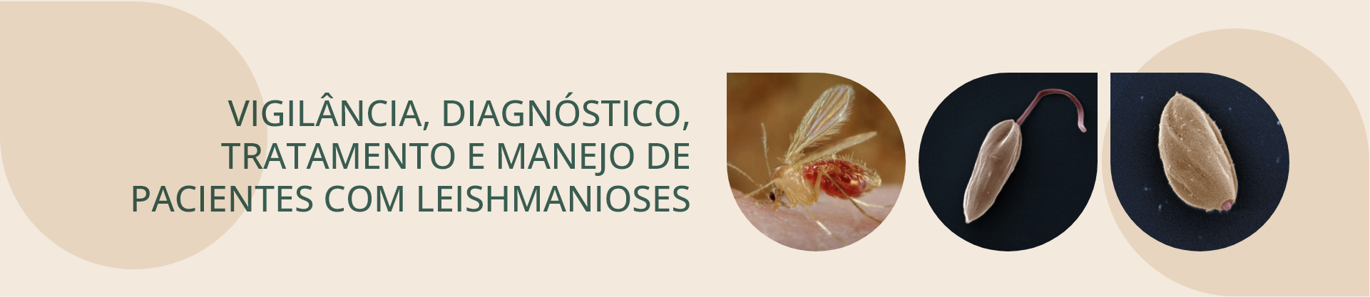 Capa das páginas do curso