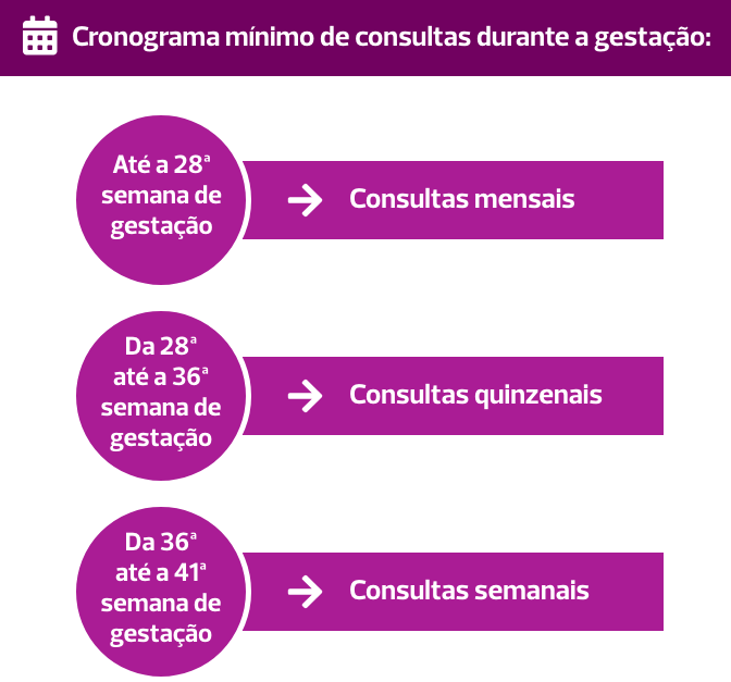 Cronograma mínimo de consultas