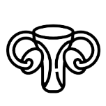 Útero